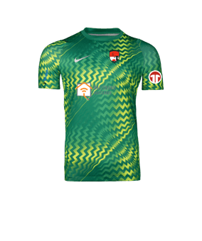 Nike Gardien VI Torwarttrikot Grün F324