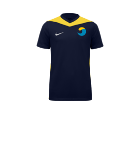 Nike Park Derby IV Trikot Kids Blau Gelb F410