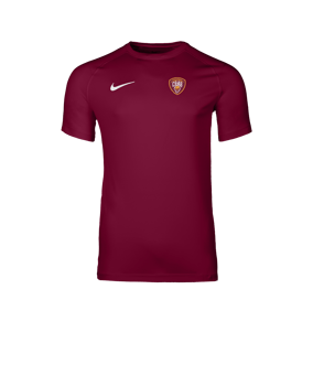 Nike Park VIII Maillot Rouge C677