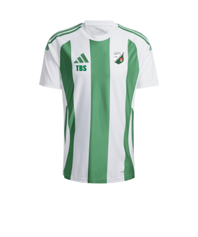 adidas Striped 24 Trikot Weiss Grün