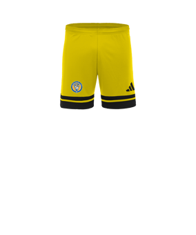 adidas Squadra 25 Pantalones cortos Kids amarillo 