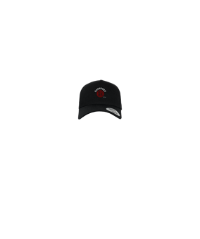 Merch 5 Panel Curved Snapback Cap Schwarz