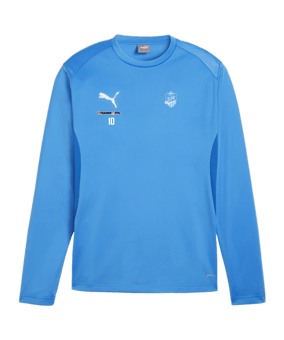 PUMA teamGOAL Training Sweatshirt Blau F02