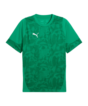 PUMA Trikot Grün F05 - gruen