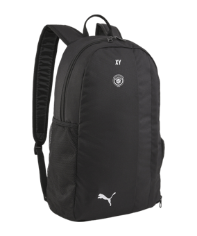 PUMA teamGOAL Rucksack Schwarz F01