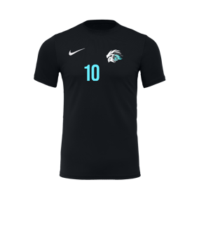 Nike Park VII Trikot kurzarm Schwarz F010