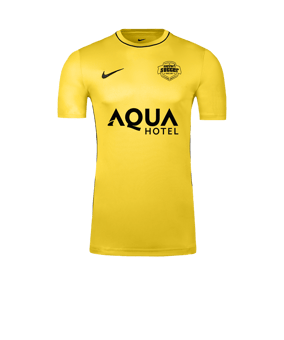 Nike Park 26 Camiseta De Entrenamiento Amarillo C719