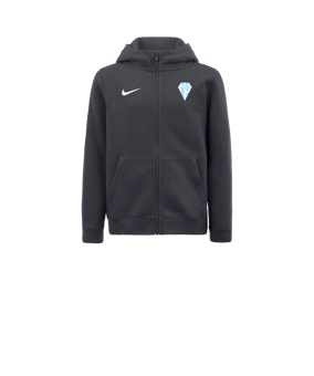 Veste à capuche en polaire Nike Park 20 enfants Gris F071