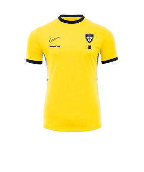 Nike Academy 25 Trainingsshirt Gelb F719