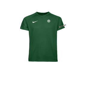 Nike Park VIII Trikot Set Kids Grün F302