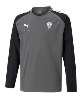 PUMA teamLIGA Sweatshirt Kids Grau F13