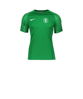 Nike Academy Trikot Kids Grün Weiss F302