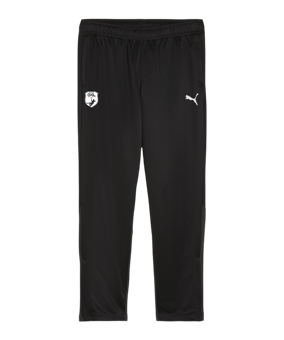 PUMA teamGOAL Training Jogginghose Damen F03