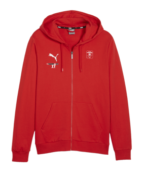 PUMA teamGOAL Casuals Kapuzenjacke Rot F01