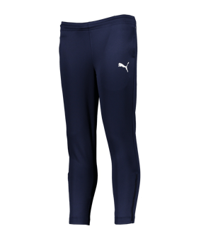 PUMA teamRISE Poly Trainingshose Kids Blau F06 - blau