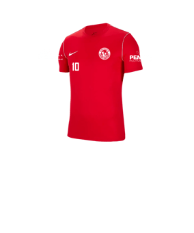 Nike Park 20 T-Shirt Kids Rot F657
