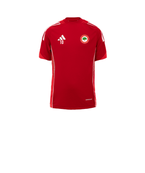 adidas Tiro 25 Competition Trainingsshirt Kids Rot