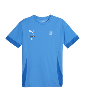 PUMA teamGOAL Matchday Trikot Blau Weiss F02