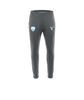 Pantalon de survêtement en polaire Nike Park 20 Gris blanc F071