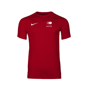 Nike Park VIII Trikot Rot F657
