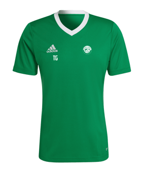 adidas Entrada 22 Trikot Grün