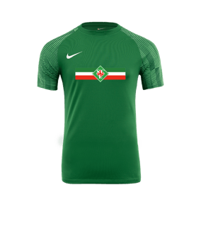 Nike Academy Trikot Grün Weiss F302