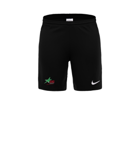 Nike Park III Court Noir C010 