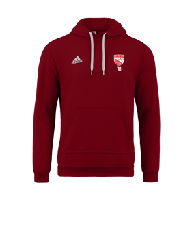 Sweat à capuche adidas Entrada 22 Rouge 