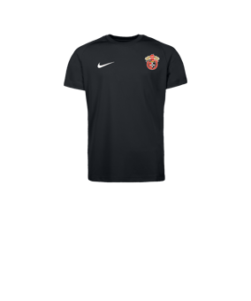 Nike Park VIII Trikot Kids Schwarz F010