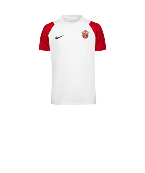Nike Academy II Trikot Kids Weiß F102