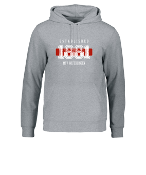 Merch Drummer 2.0 Hoody Heather Grey  | #established 