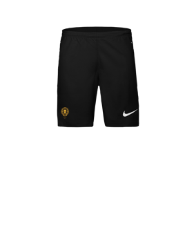 Nike Laser VI Court Noir C010