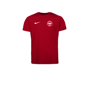 Nike Park VIII Trikot Kids Rot F657