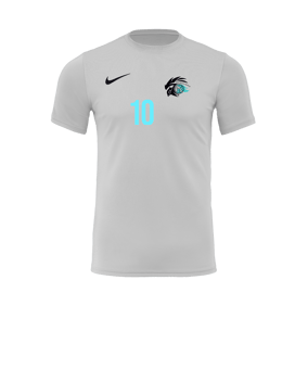 Nike Park VII Trikot kurzarm Weiss F100