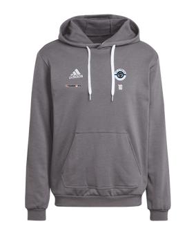 adidas Entrada 22 Hoody Grau