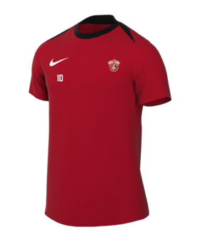Nike Academy Pro 24 Trainingsshirt Rot  F657