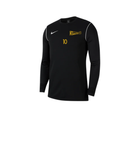 Nike Park 20 Sweatshirt Kids Schwarz F010