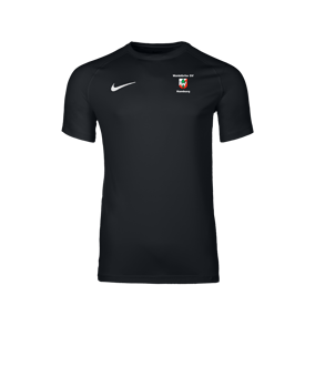 Nike Park VIII Trikot Schwarz F010