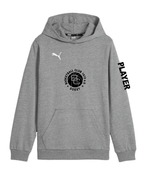 PUMA teamGOAL Casuals Hoody Kids Grau F33