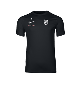 Nike Park VIII Trikot Schwarz F010