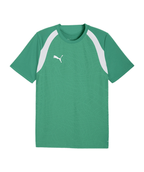 PUMA teamFINAL26 Training Trikot Grün F05