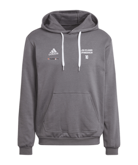 adidas Entrada 22 Hoody Grau
