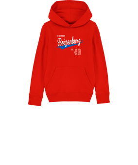 Merch Mini Cruiser 2.0 Hoody Kids Red FC004