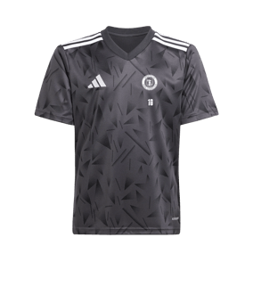 adidas Team Icon 25 Trikot Schwarz