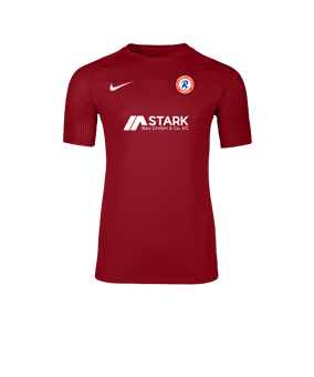 Nike Academy II Trikot Rot F657