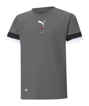 PUMA teamRISE Trikot Kids Grau F13