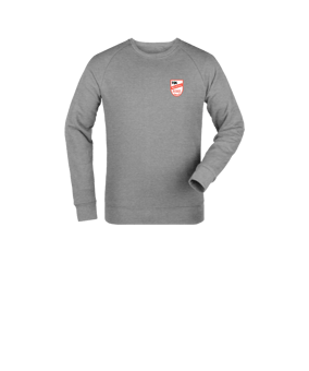 Merch Mini Changer 2.0 Sweatshirt Kids Heather Grey | #logo4c
