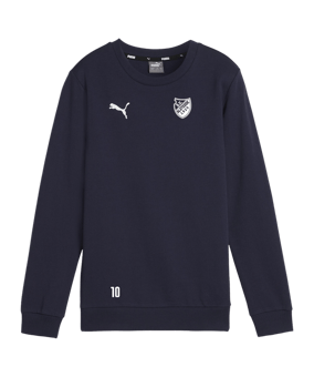 PUMA teamGOAL Casuals Sweatshirt Kids Blau F06