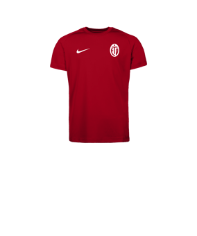 Nike Park VIII Trikot Kids Rot F657