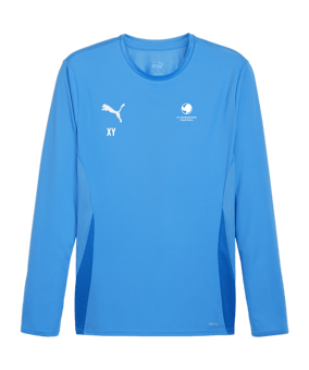 PUMA teamGOAL Trikot Langarm Blau Weiss F02